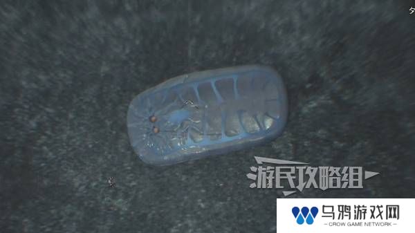 怪物猎人荒野大虚无动在哪捕获    大虚无动捕获攻略图片8