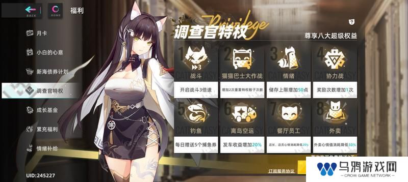 猫之城