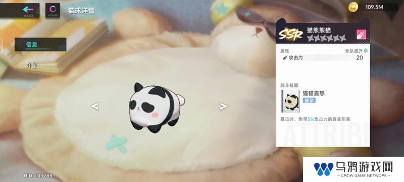 猫之城