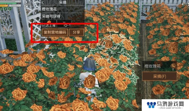 《明日之后》异色玫瑰保姆级攻略手把手教学兑换